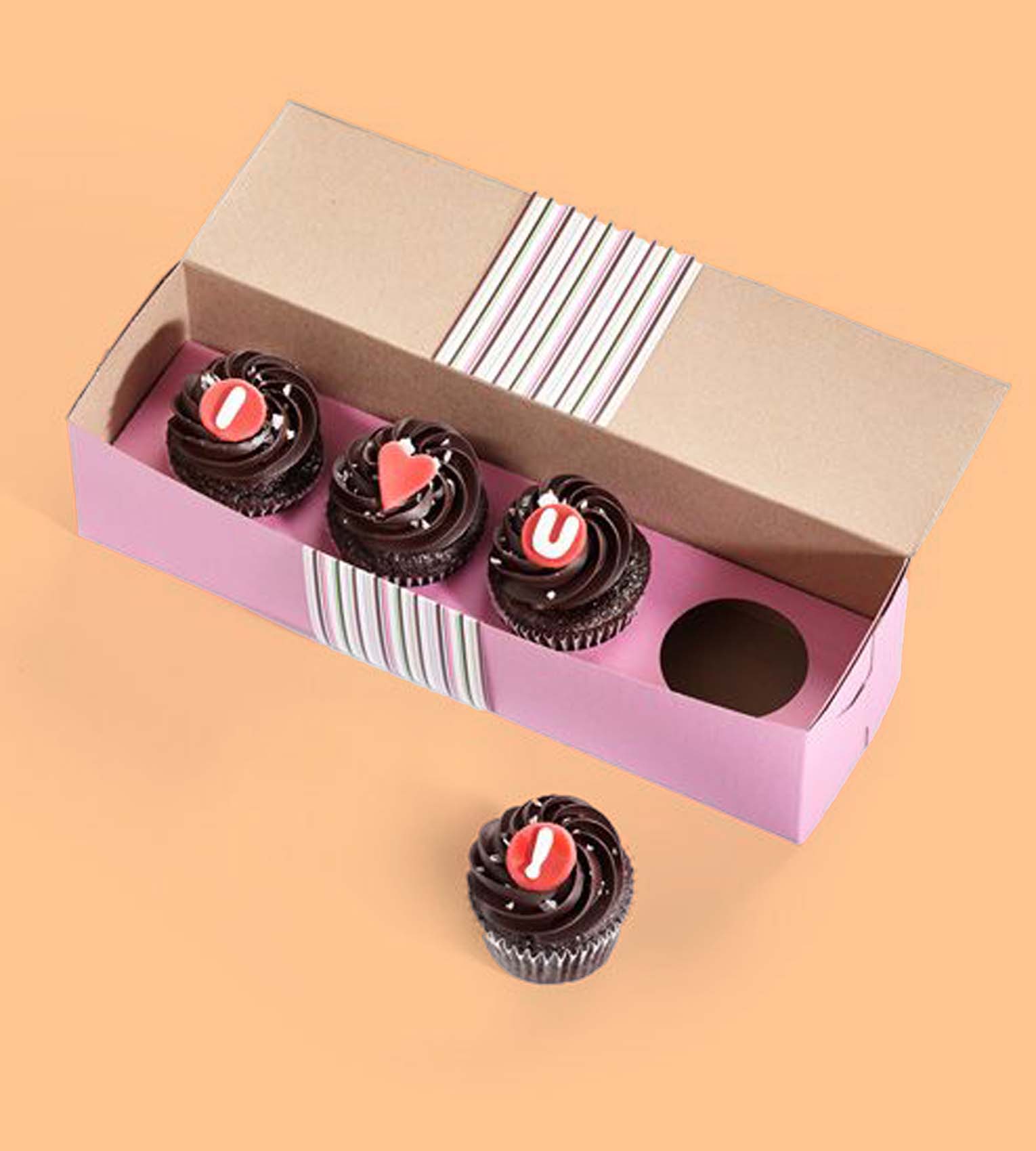 Individual Cupcake Boxes 